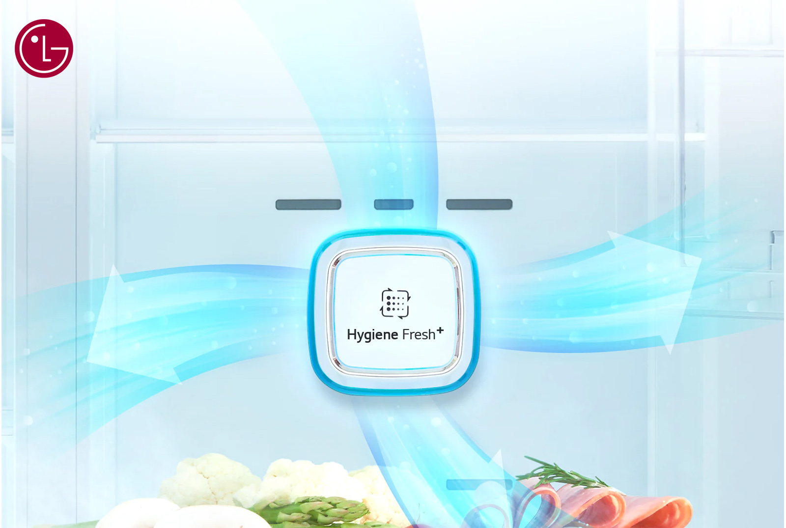 Refrigerator LG36